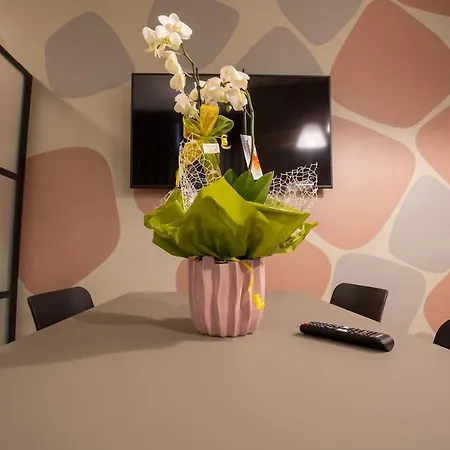 Daire Barbaresco - Wine Loft